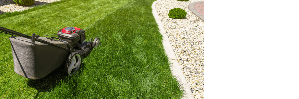 Lawn Mowing